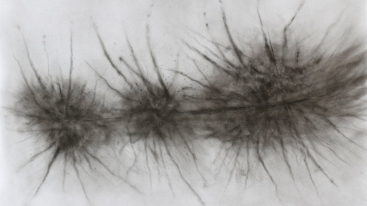 Výstava obrazů - Lenka Březinová